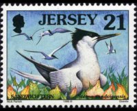 Jersey 1997 - set Seabirds & waders: 21 p