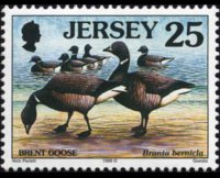 Jersey 1997 - set Seabirds & waders: 25 p