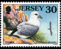 Jersey 1997 - set Seabirds & waders: 30 p
