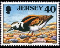 Jersey 1997 - set Seabirds & waders: 40 p