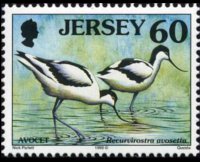 Jersey 1997 - set Seabirds & waders: 60 p