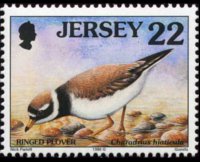 Jersey 1997 - set Seabirds & waders: 22 p