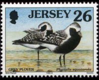 Jersey 1997 - set Seabirds & waders: 26 p