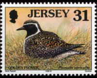 Jersey 1997 - set Seabirds & waders: 31 p