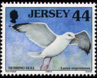 Jersey 1997 - set Seabirds & waders: 44 p