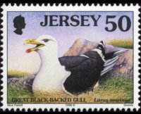 Jersey 1997 - set Seabirds & waders: 50 p