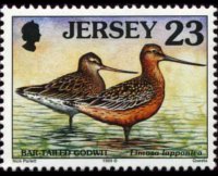 Jersey 1997 - set Seabirds & waders: 23 p