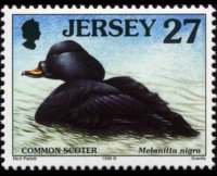 Jersey 1997 - set Seabirds & waders: 27 p