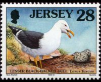 Jersey 1997 - set Seabirds & waders: 28 p