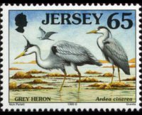 Jersey 1997 - set Seabirds & waders: 65 p