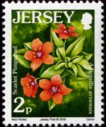 Jersey 2005 - set Flowers: 2 p