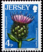 Jersey 2005 - set Flowers: 4 p