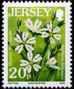 Jersey 2005 - set Flowers: 20 p