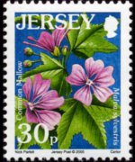 Jersey 2005 - set Flowers: 30 p