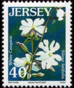 Jersey 2005 - set Flowers: 40 p