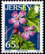 Jersey 2005 - set Flowers: 65 p