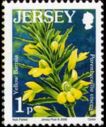 Jersey 2005 - set Flowers: 1 p