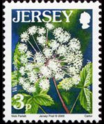 Jersey 2005 - set Flowers: 3 p