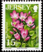 Jersey 2005 - set Flowers: 15 p