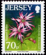 Jersey 2005 - set Flowers: 70 p