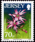 Jersey 2005 - serie Fiori: 70 p