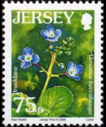Jersey 2005 - set Flowers: 75 p