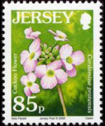 Jersey 2005 - set Flowers: 85 p