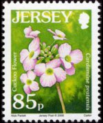 Jersey 2005 - serie Fiori: 85 p