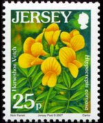 Jersey 2005 - serie Fiori: 25 p