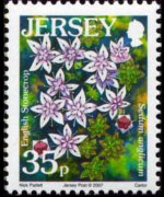 Jersey 2005 - set Flowers: 35 p
