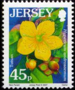 Jersey 2005 - set Flowers: 45 p