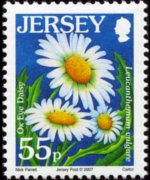 Jersey 2005 - set Flowers: 55 p