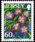 Jersey 2005 - serie Fiori: 60 p