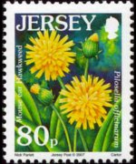 Jersey 2005 - set Flowers: 80 p
