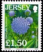 Jersey 2005 - set Flowers: 1,50 £