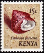 Kenya 1971 - serie Conchiglie: 15 c