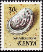 Kenya 1971 - serie Conchiglie: 30 c