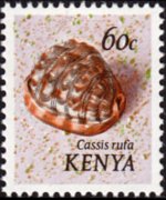 Kenya 1971 - serie Conchiglie: 60 c