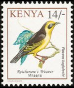 Kenya 1993 - serie Uccelli: 14 sh