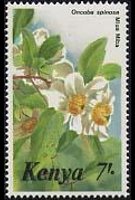 Kenya 1983 - serie Fiori: 7 sh