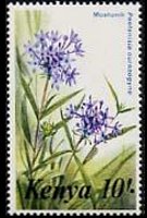 Kenya 1983 - serie Fiori: 10 sh