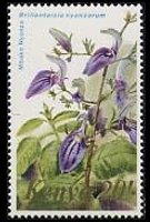 Kenya 1983 - serie Fiori: 20 sh