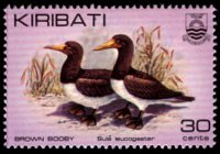 Kiribati 1982 - serie Uccelli: 30 c