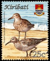 Kiribati 2008 - serie Uccelli: 25 c
