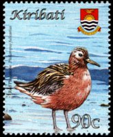 Kiribati 2008 - serie Uccelli: 90 c