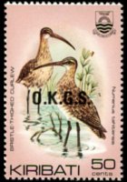 Kiribati 1983 - serie Uccelli: 50 c