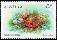 Saint Kitts 1984 - serie Vita marina: 10 c