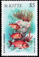 Saint Kitts 1984 - serie Vita marina: 5 $