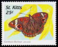 Saint Kitts 1997 - serie Farfalle: 25 c