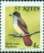 Saint Kitts 1981 - serie Uccelli: 4 c